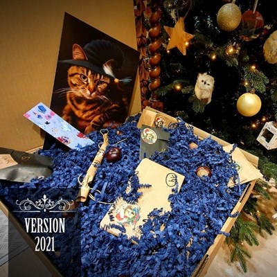 imgi_16_calendrier-de-lavent-harry-potter-les-4-maisons-boutique-belgique-liege2021