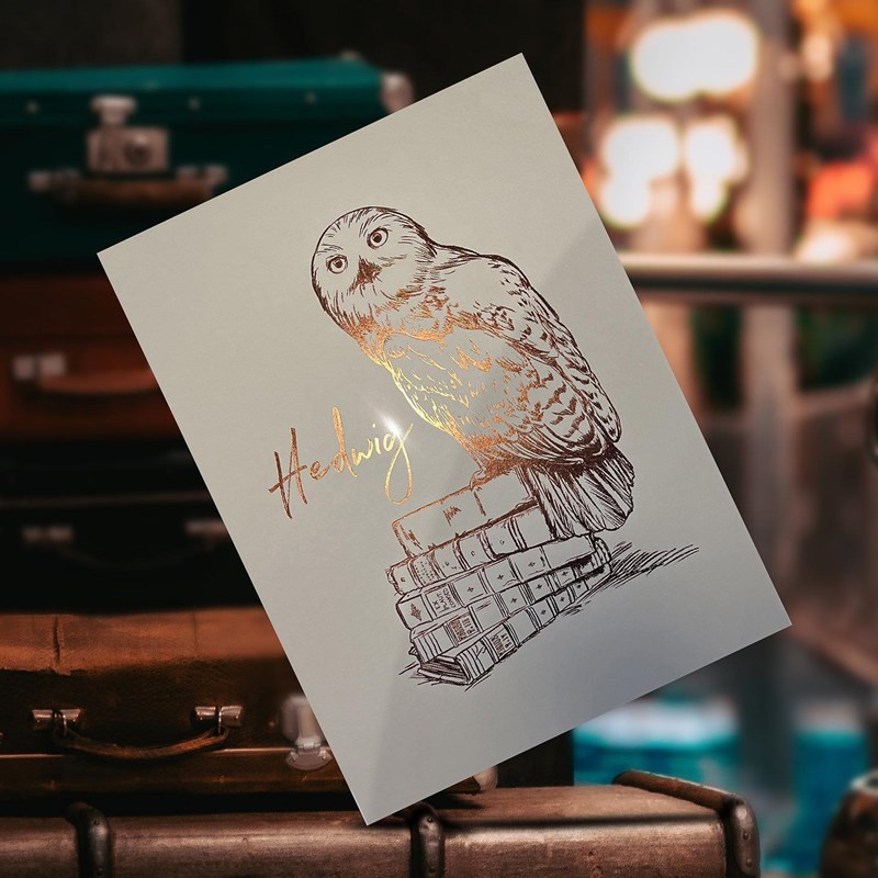 Artprint Hedwige dorure à chaud - Harry Potter