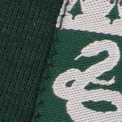 Sweat ENFANT à capuche Slytherin (Serpentard)