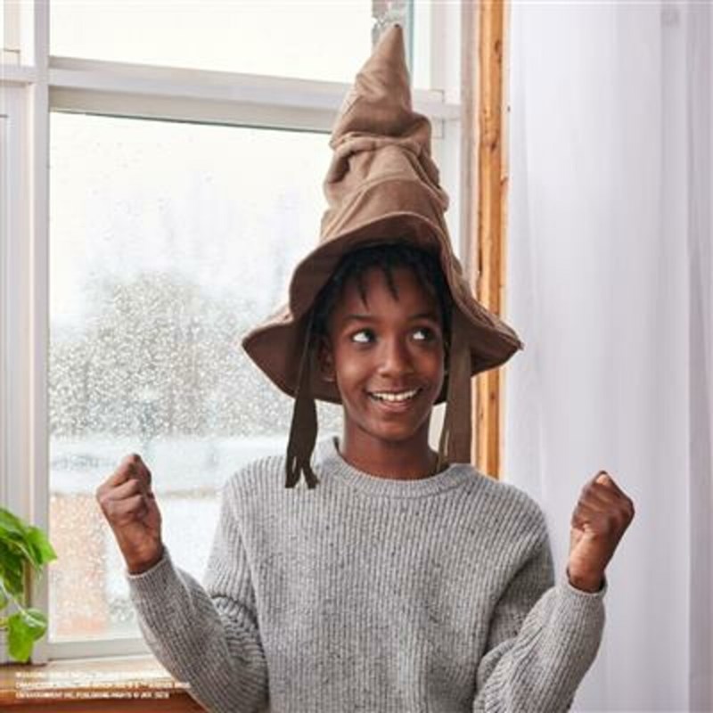 Choixpeau qui parle FR ou NL - Harry Potter