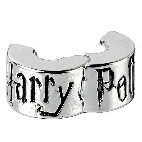 Set de 2 bloqueurs de Charms Harry Potter