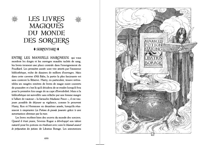 Edition Serpentard 20 ans Harry Potter et le Prince de Sang Mêlé