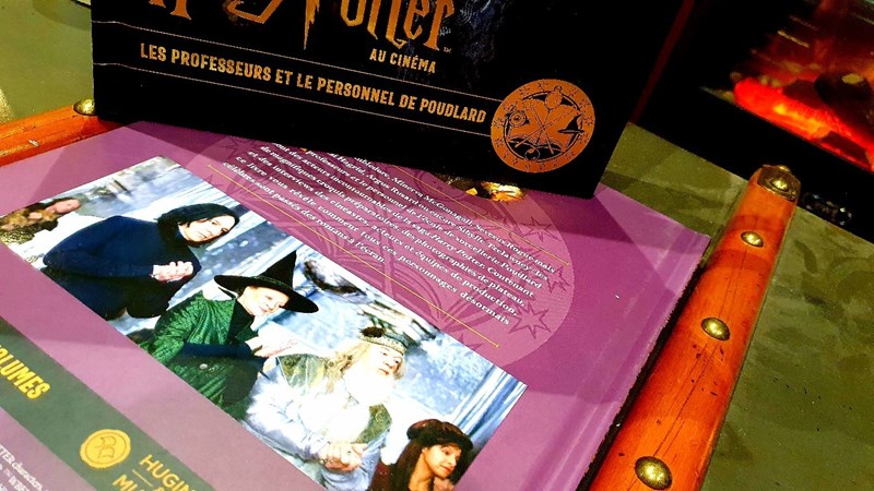 Harry Potter au Cinéma Vol. 11 - Les professeurs et le personnel de Poudlard