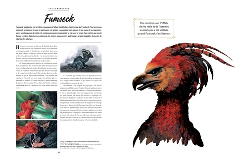 Le Grand Livre des Créatures - Harry Potter & Les Animaux Fantastiques