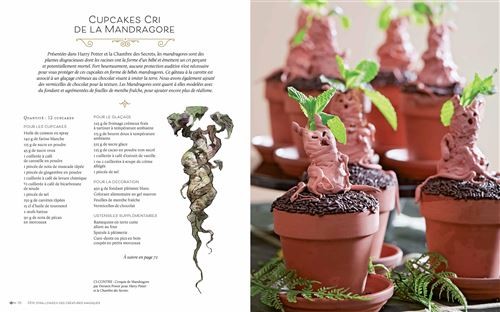 Harry Potter - Festins et Festivités - Loisirs Créatifs