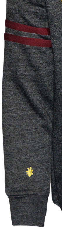 Sweat à capuche Gryffindor (Gryffondor) unisexe