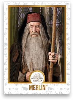 Chocogrenouille en chocolat - Harry Potter