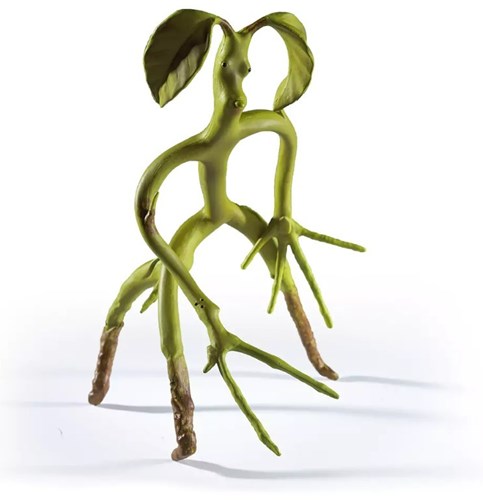 Figurine Botruc articulée - Noble Collection - Harry Potter