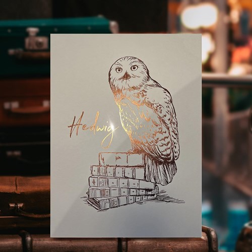 Artprint Hedwige dorure à chaud - Harry Potter