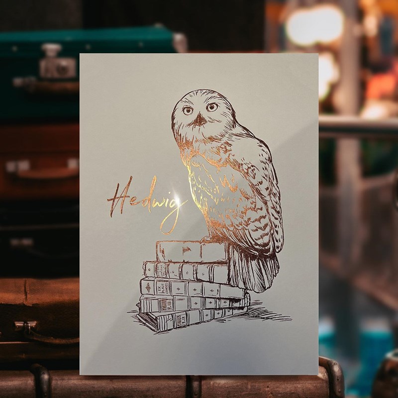 Artprint Hedwige dorure à chaud - Harry Potter