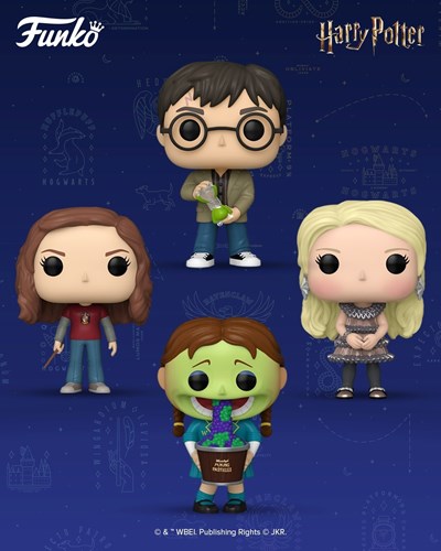 imgi_34_522387317_18335024158166254_1839213886682460270_n