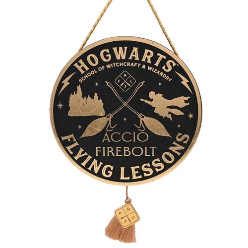 Plaque suspendue Flying Lesson - Harry Potter