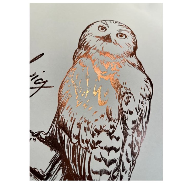 Artprint Hedwige dorure à chaud - Harry Potter