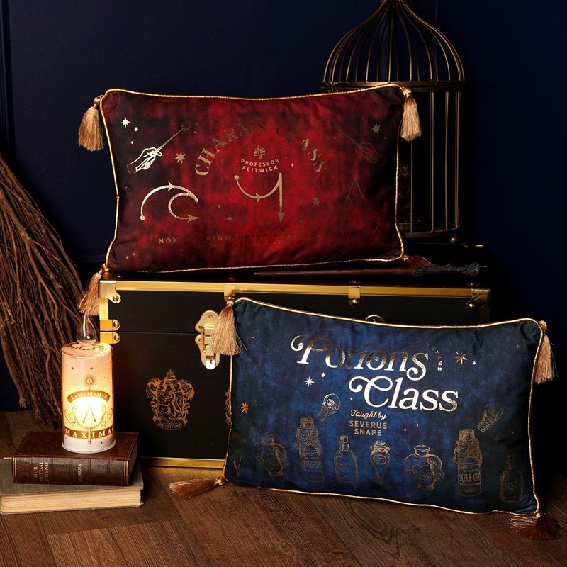 COUSSIN VELOURS ALUMNI - CLASSE DE POTIONS - HARRY POTTER