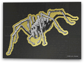 Créatures mystères en chocolat - Harry Potter