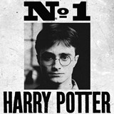 affiche harry potter undesirable n1 minalima