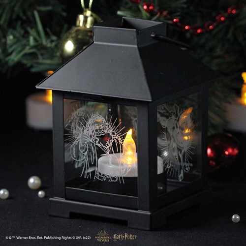 Lanterne Hagrid Arribas - Harry Potter