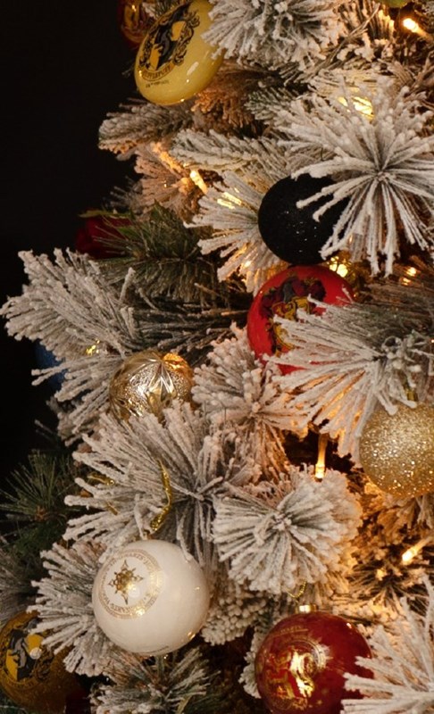 Lot de 6 boules de Noël à paillettes Harry Potter