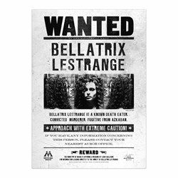 poster minalima harry potter wanted bellatrix