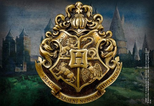 Funidelia | Cravate avec pin's Poufsouffle - Harry Potter pour homme  Poudlard, Magiciens, Hogwarts - Accesoires pour Adultes, accessoire pour