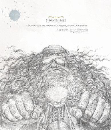 Harry Potter - Une Année de Magie - Illustré par Jim Kay