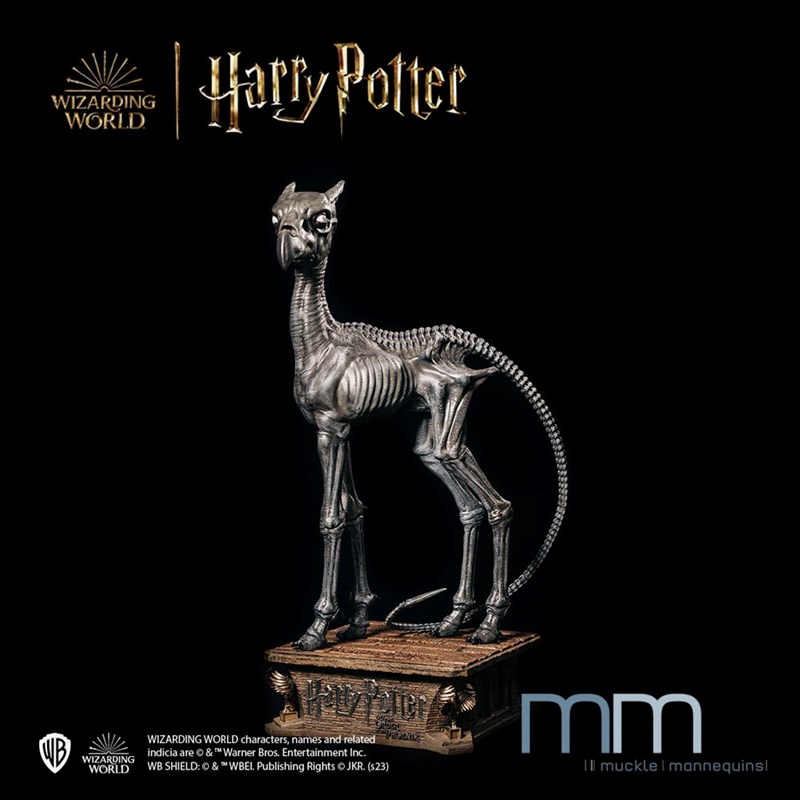 Statue taille réelle Sombral éd. lim. 444 ex. - Harry Pottrer