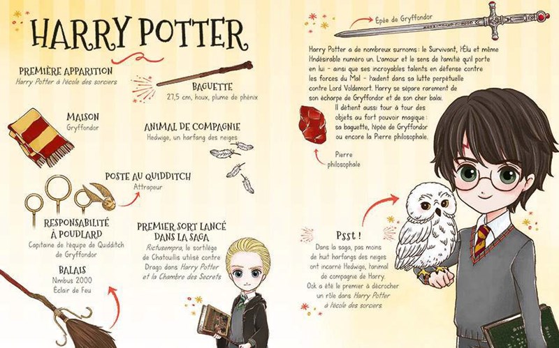 Poudlard - Le Dressing - Harry Potter