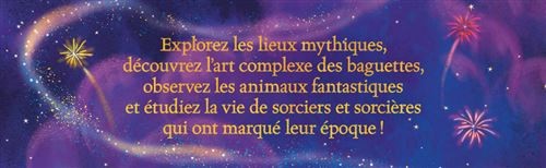 Harry Potter Le Guide Ultime