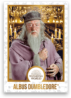 Chocogrenouille en chocolat - Harry Potter