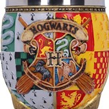 coupe poudlard quidditch vif d'or harry potter