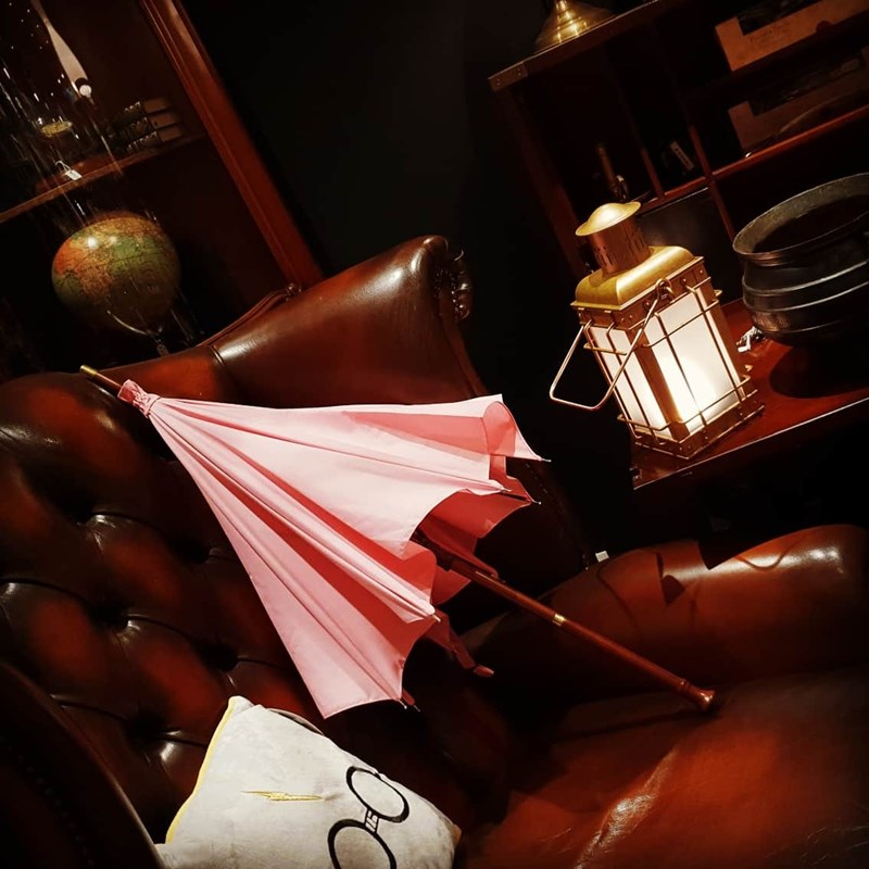 Baguette Hagrid parapluie - Harry Potter