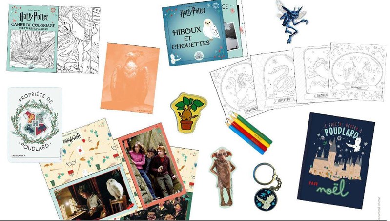 CALENDRIER DE L'AVENT- CREATURES - HARRY POTTER