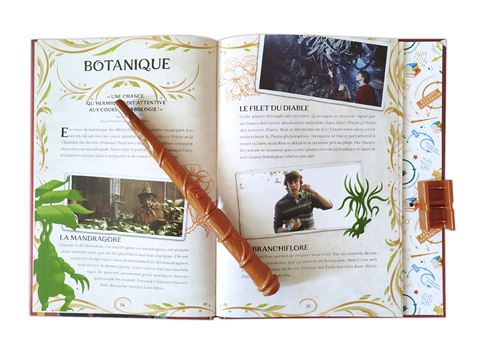 Sortilège, le guide la magie à Poudlard - Harry Potter