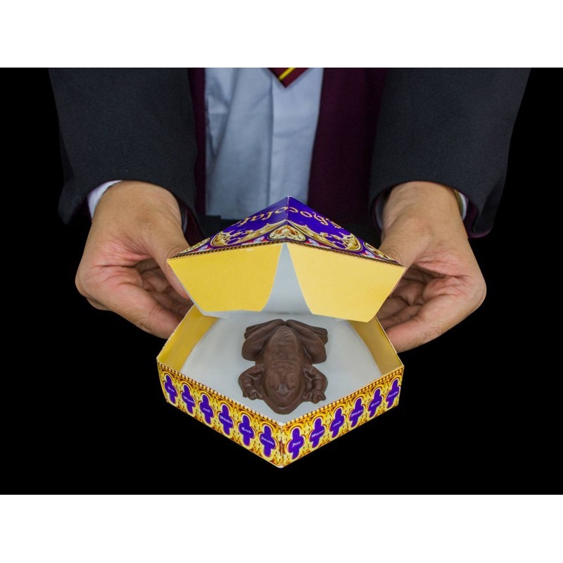 Moule Chocogrenouille Harry Potter