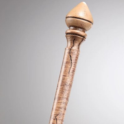 premiere baguette ollivander hermione granger harry potter