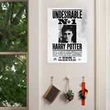 poster harry potter undesirable n1 minalima
