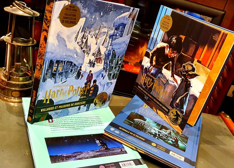 Harry Potter au Cinéma Vol. 9 - Gobelins, Elfes de maison et Créatures des ténèbres