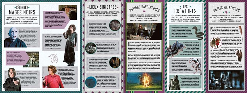 Magie Noire - Coffret magique du monde des sorciers - Harry Potter