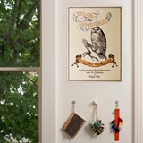 eeylops-owl-emporium-poster-harry-potter