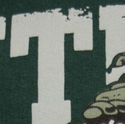 Sweat ENFANT à capuche Slytherin (Serpentard)