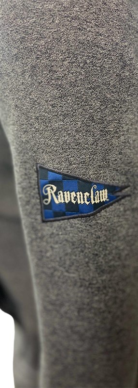 Sweat à capuche hoodie Serdaigle Quidditch - Harry Potter