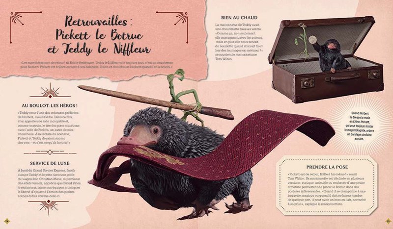 La Magie du Cinéma 5: Les Secrets de Dumbledore