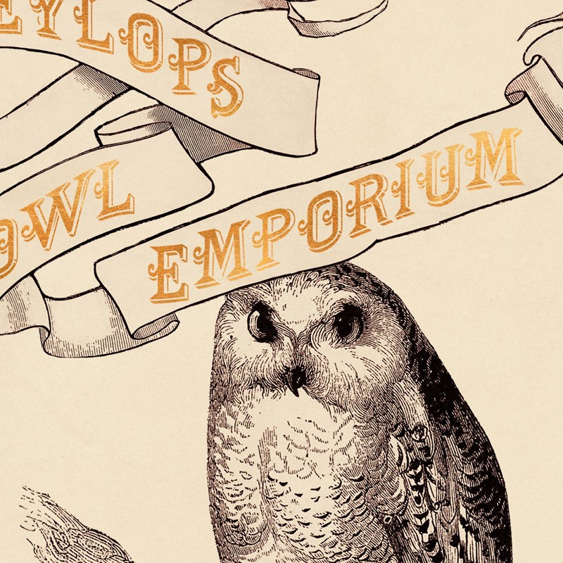 Poster Eeylops Owl Emporium - MinaLima