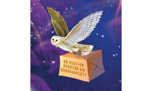 Harry Potter Le Guide Ultime