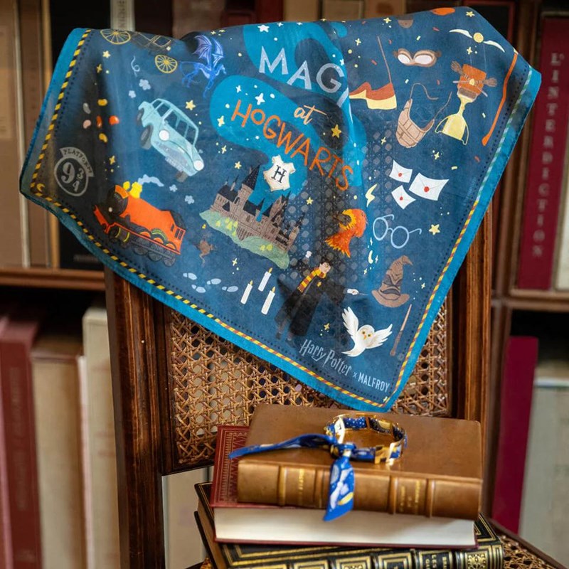 Carré en coton et soie 45, Harry Potter, Magie à Poudlard