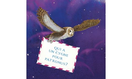 Harry Potter Le Guide Ultime