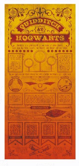 ART PRINT REGLES QUIDDITCH - HARRY POTTER