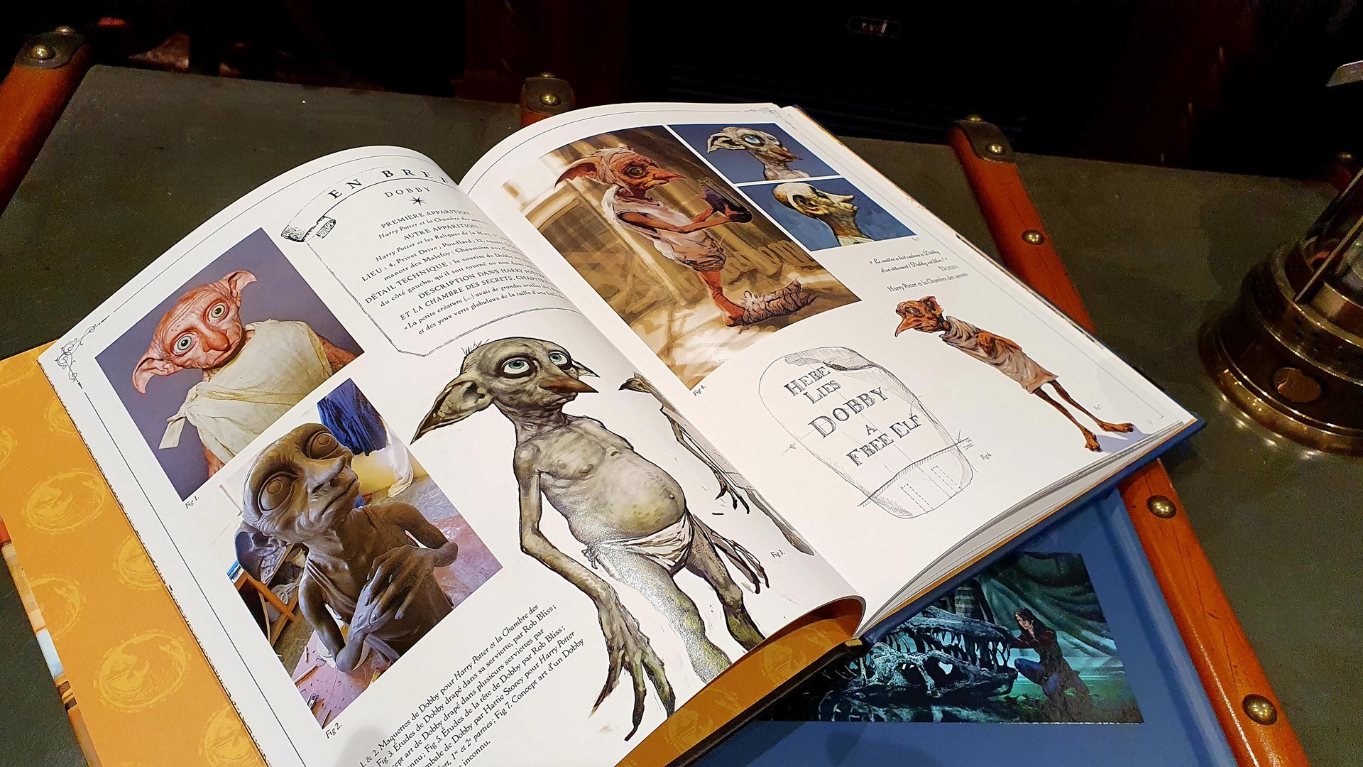 Harry Potter au Cinéma Vol. 9 - Gobelins, Elfes de maison et Créatures